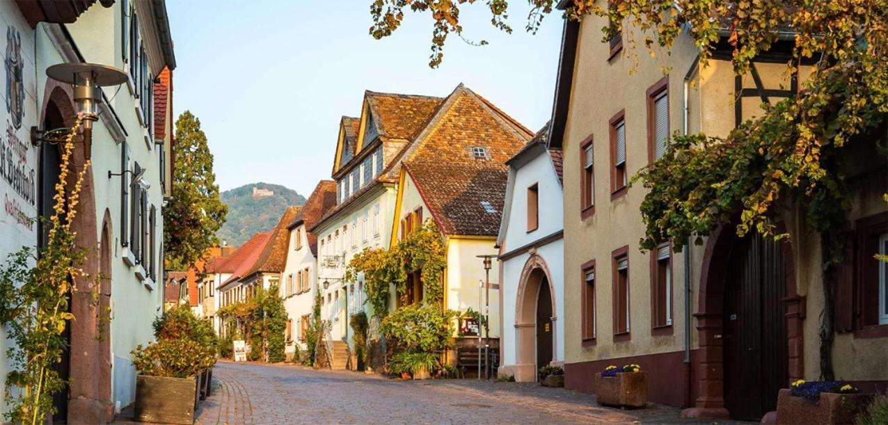 Hotel Rhodter Adler Rhodt unter Rietburg Ngoại thất bức ảnh